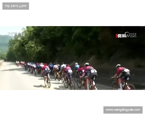 拜城县自行车租赁市场现状与隐忧深度分析:南疆骑行热潮背后的挑战与思考